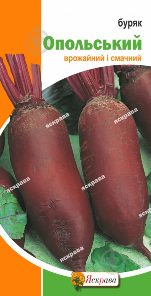 Насіння Яскрава буряк Опольський 3 г (4823069800109) - фото 1