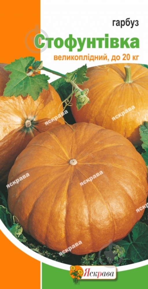 Семена Яскрава тыква Стофунтовка 3 г (4823069800185) - фото 1