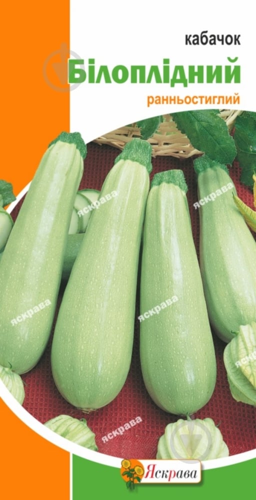 Насіння Яскрава кабачок Білоплідний 3 г (4823069800260) - фото 1