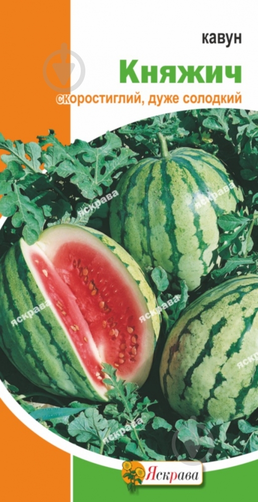 Насіння Яскрава кавун Княжич 2 г (4823069800369) - фото 1