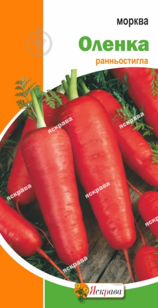 Семена Яскрава морковь Аленка 3 г (4823069800819) - фото 1