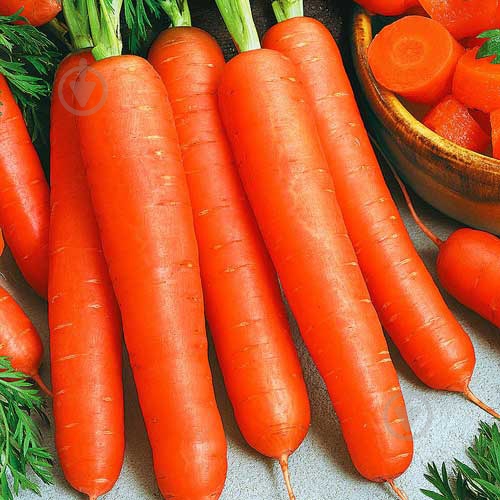 Семена Яскрава морковь Перфекция Евро 3 г (4823069800826) - фото 1