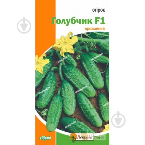 Семена Яскрава огурец Голубчик F1 0,5 г (4823069800895) - фото 1