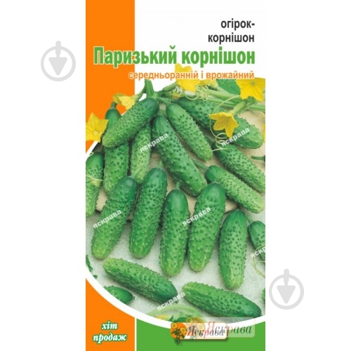 Семена огурец Парижский корнишон 1 г Яскрава - фото 1