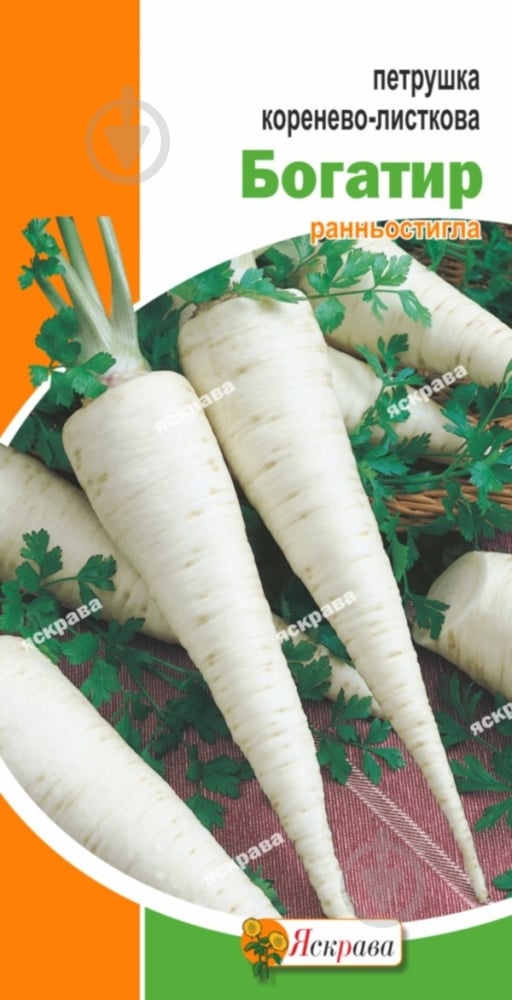 Семена Яскрава петрушка корневая Богатырь 2 г (4823069801335) - фото 1 Семена Яскрава петрушка корневая Богатырь 2 г (4823069801335) - фото 1