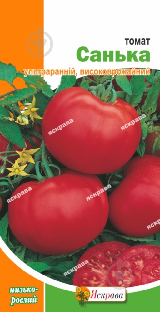 Семена Яскрава томат Санька 0,1 г (4823069801540) - фото 1