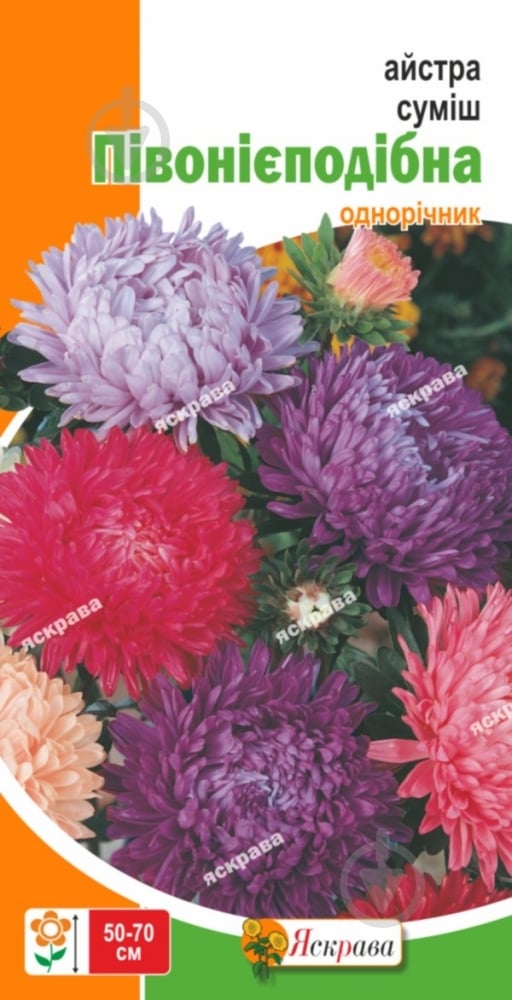 Семена Яскрава астра пионообразная смесь 0,3 г (4823069804893) - фото 1