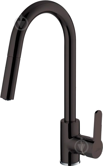 Смеситель для кухни Invena Elia BZ-89-W04 - фото 1