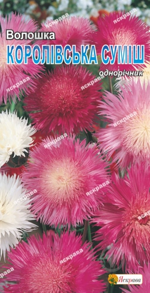 Семена Яскрава василек Королевская смесь 0,5 г (4823069805197) - фото 1 Семена Яскрава василек Королевская смесь 0,5 г (4823069805197) - фото 1