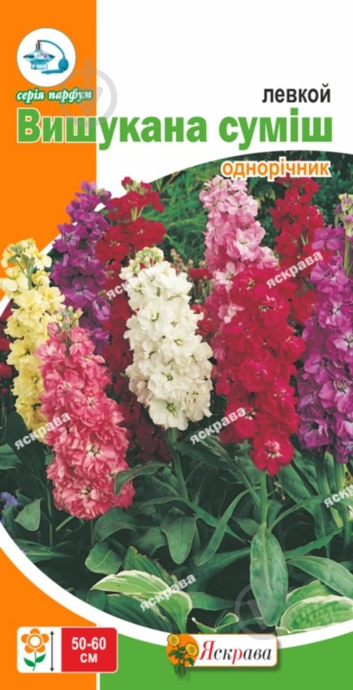 Семена Яскрава левкой Изысканная смесь 0,2 г (4823069860943) - фото 1