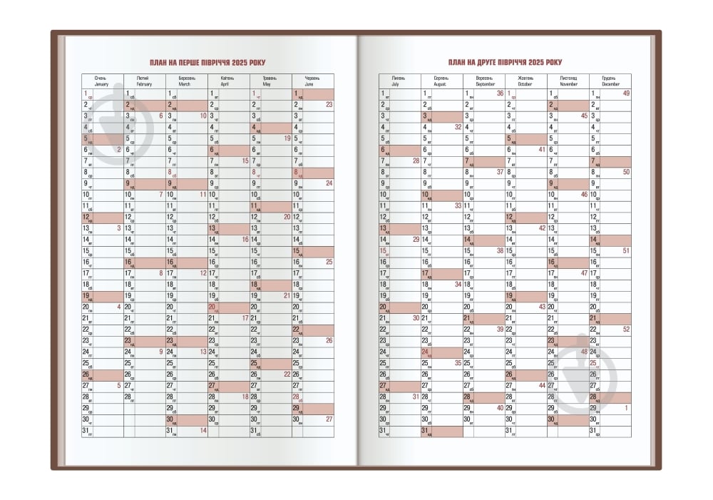 Дневник датированный Economix A5 2026 E21853 мульти - фото 2
