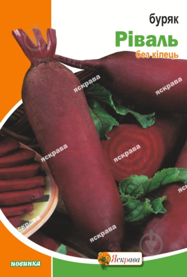 Семена Яскрава свекла Риваль 20 г (4823069811075) - фото 1