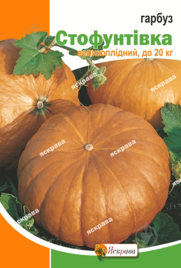 Семена Яскрава тыква Стофунтовка 20 г (4823069861469) - фото 1