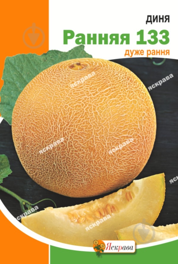 Семена Яскрава дыня Ранняя 133 10 г (4823069899165) - фото 1