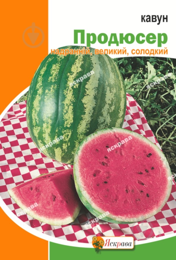 Насіння Яскрава кавун Продюсер 20 г (4823069803308) - фото 1 Насіння Яскрава кавун Продюсер 20 г (4823069803308) - фото 1