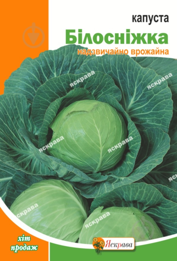 Насіння Яскрава капуста білоголова Білосніжка 10 г (4823069803322) - фото 1