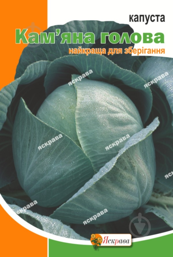 Семена капуста белокочанная Каменная голова 5 г Яскрава - фото 1