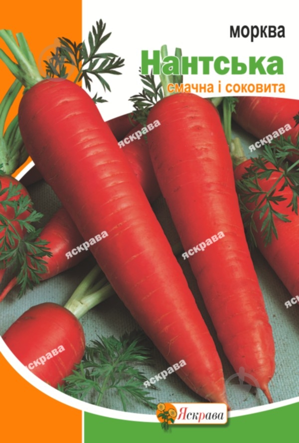 Семена Яскрава морковь Нантская 20 г (4823069803650) - фото 1