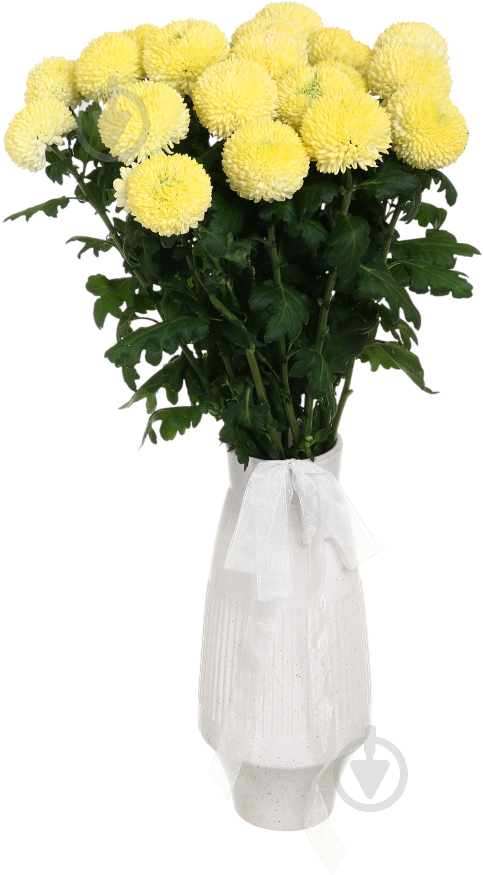 Фрезия Honeymoon 50 см розовая (Нидерланды) - фото 4