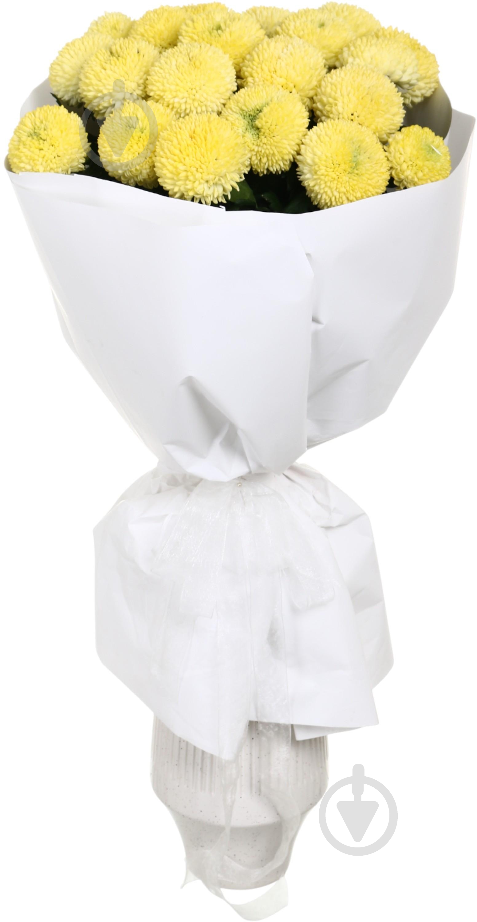 Фрезия Honeymoon 50 см розовая (Нидерланды) - фото 5