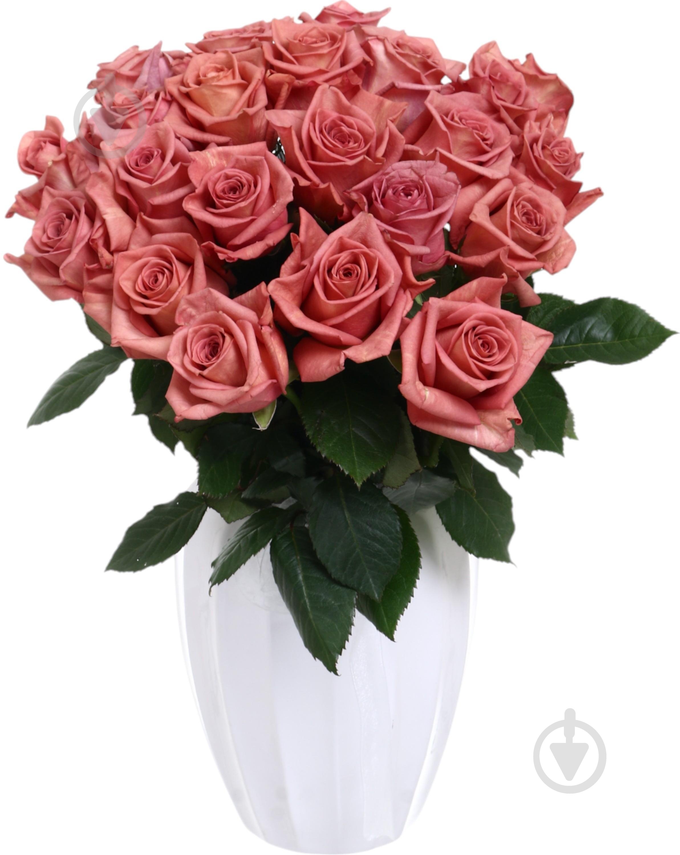 Роза Painted Barista 50 см коричневая (Нидерланды) - фото 2