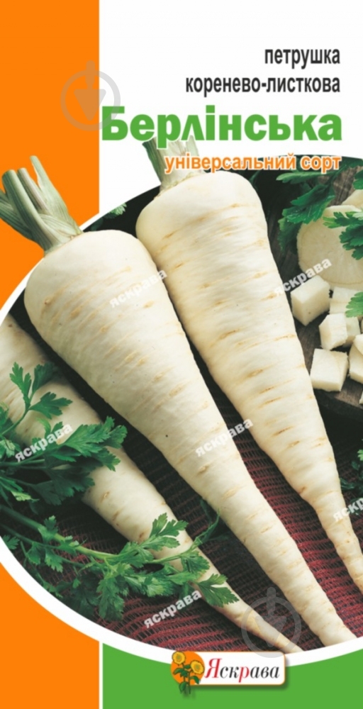Семена Яскрава петрушка корневая Берлинская 20 г (4823069803889) - фото 1
