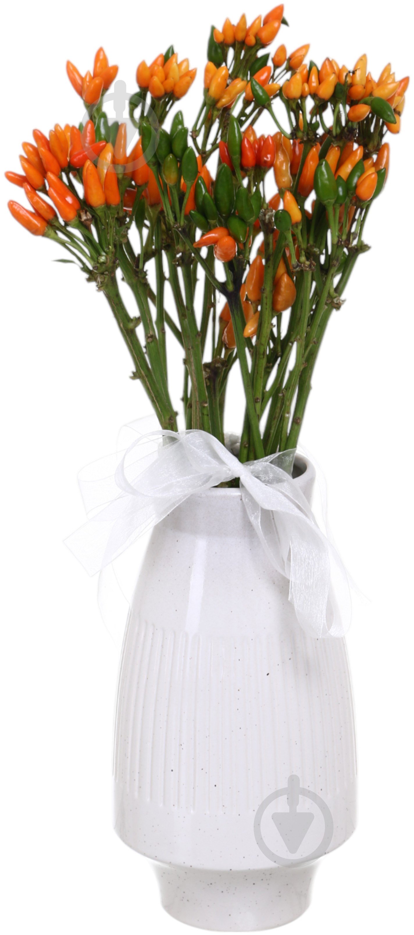 Капсикум Orange Candy оранжевый (Нидерланды) - фото 4