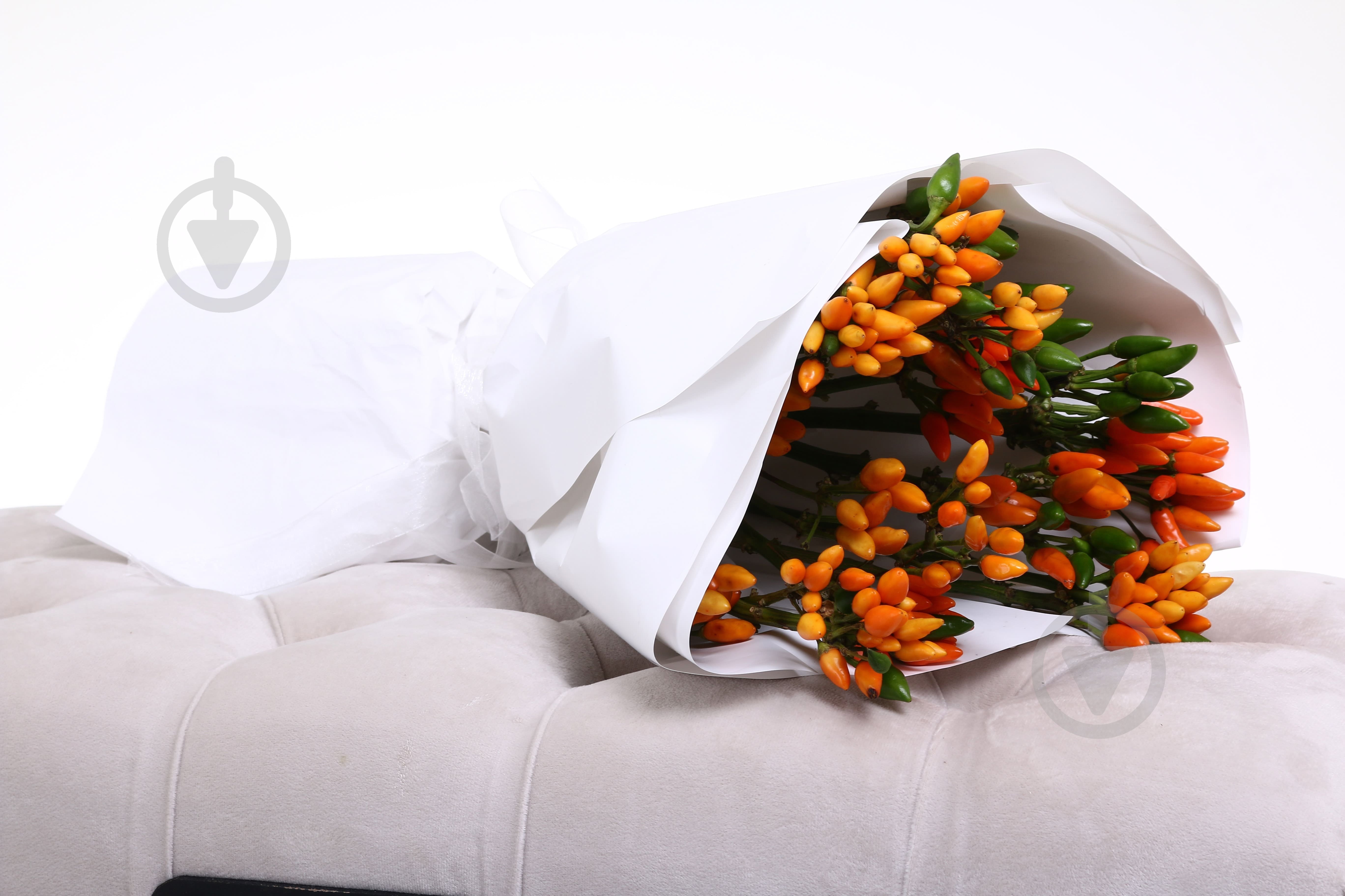 Капсикум Orange Candy оранжевый (Нидерланды) - фото 6