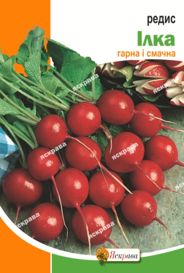 Семена Яскрава редис Илка 10 г (4823069810856) - фото 1