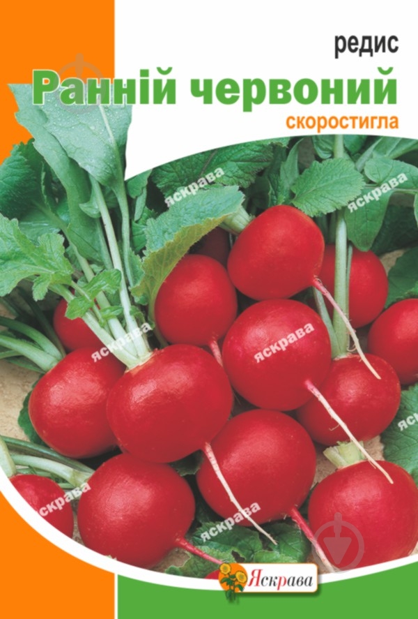 Семена редис Ранняя красная 10 г Яскрава - фото 1