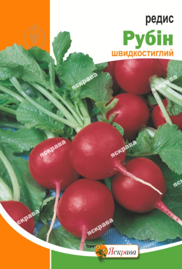 Семена Яскрава редис Рубин 10 г (4823069803926) - фото 1