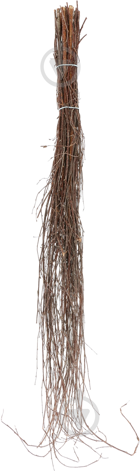 Веник березовый d4-6 см - фото 1 Веник березовый d4-6 см - фото 1