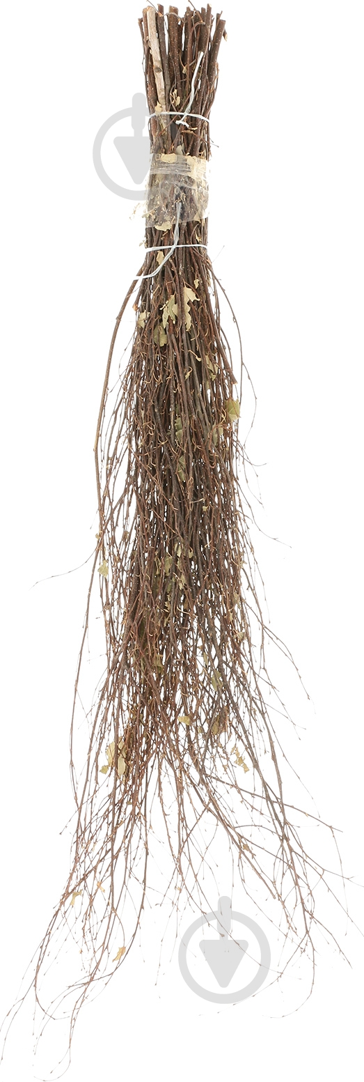 Веник березовый d6-8 см - фото 1