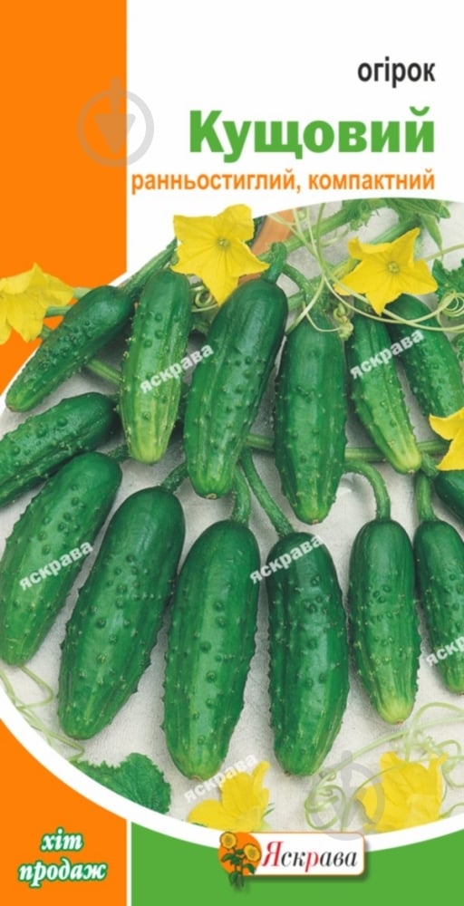 Насіння Яскрава огірок Кущовий 1 г (4823069800987) - фото 1