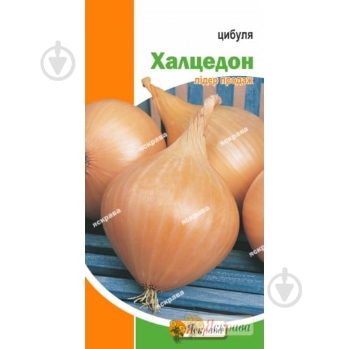 Семена Яскрава лук репчатый Халцедон 1 г (4823069802011) - фото 1