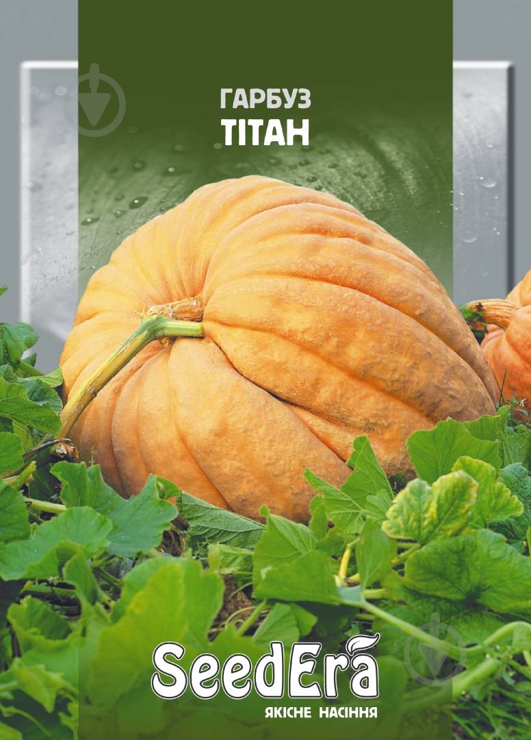 Семена SeedEra тыква Титан 20 г (4823073719992) - фото 1