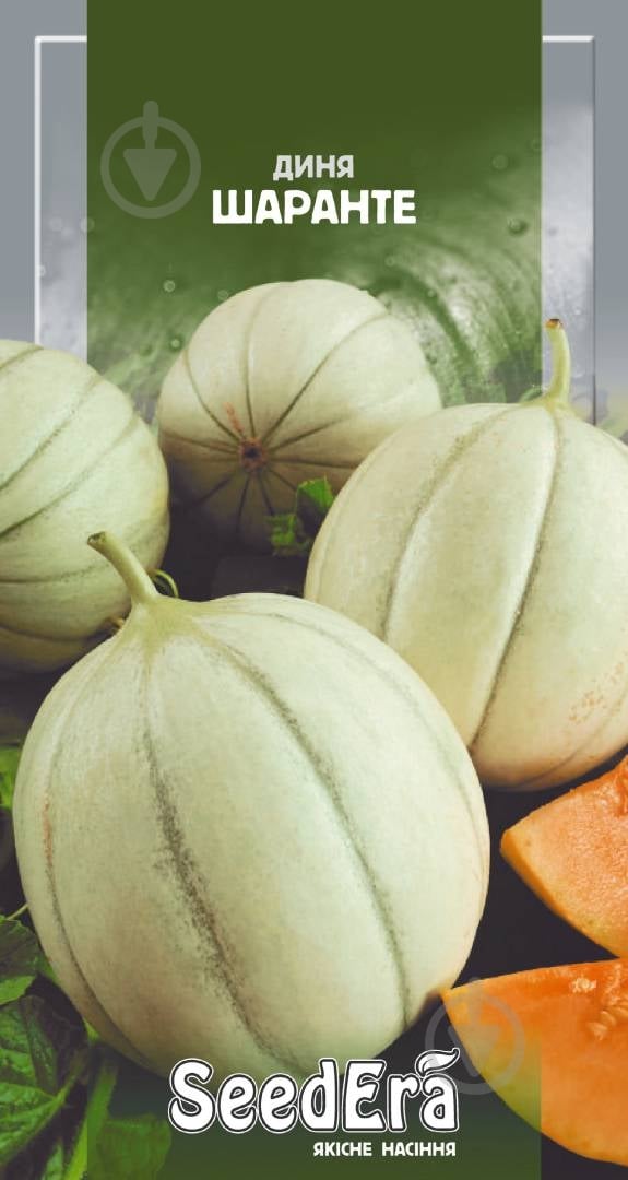 Насіння SeedEra диня Шаранте 2 г (4823073723791) - фото 1