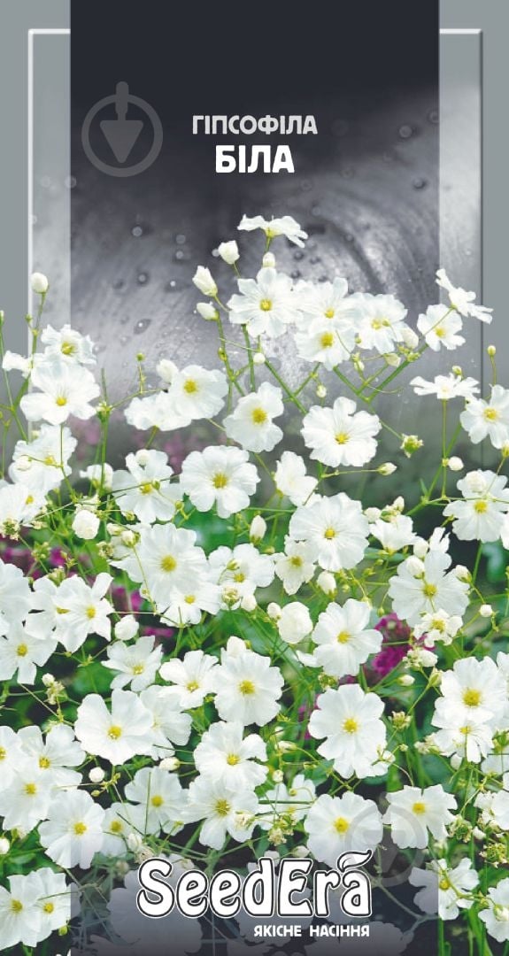 Насіння гіпсофіла біла 1 г (4823073705155) - фото 1