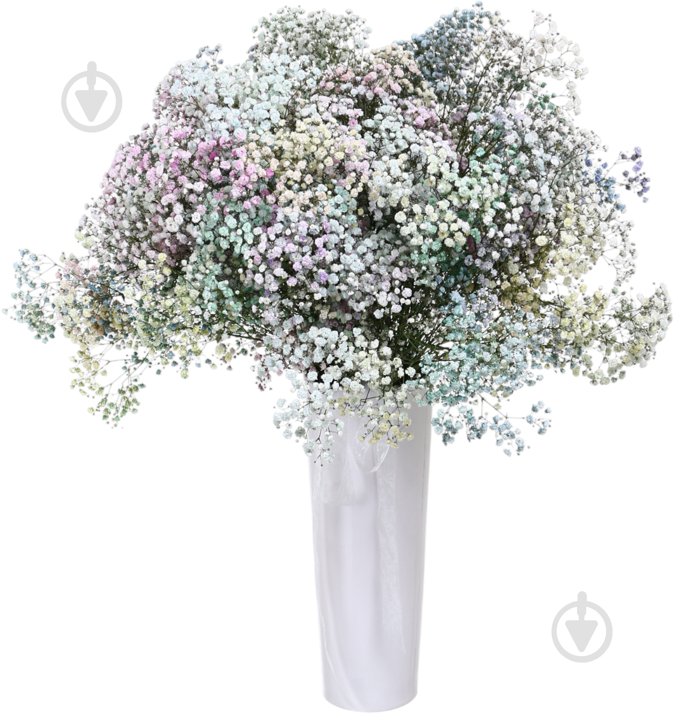 Гипсофила Rainbow микс (Нидерланды) - фото 1