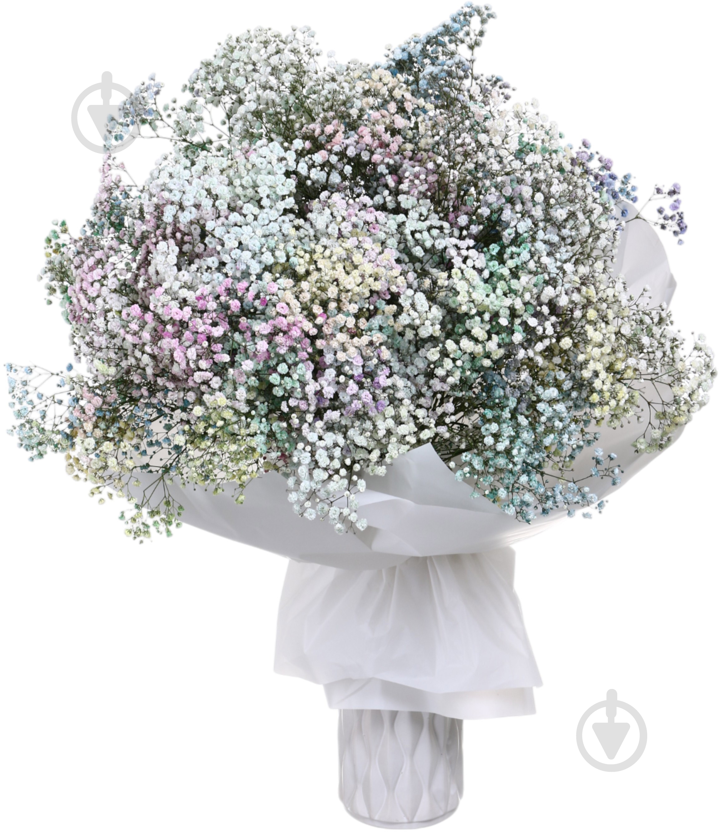 Гипсофила Rainbow микс (Нидерланды) - фото 2