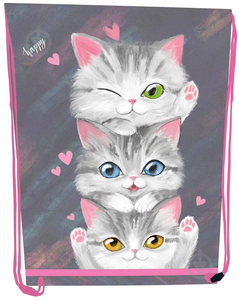 Сумка для обуви CLASS Kittens 46x33 см 2232C - фото 1 Сумка для обуви CLASS Kittens 46x33 см 2232C - фото 1