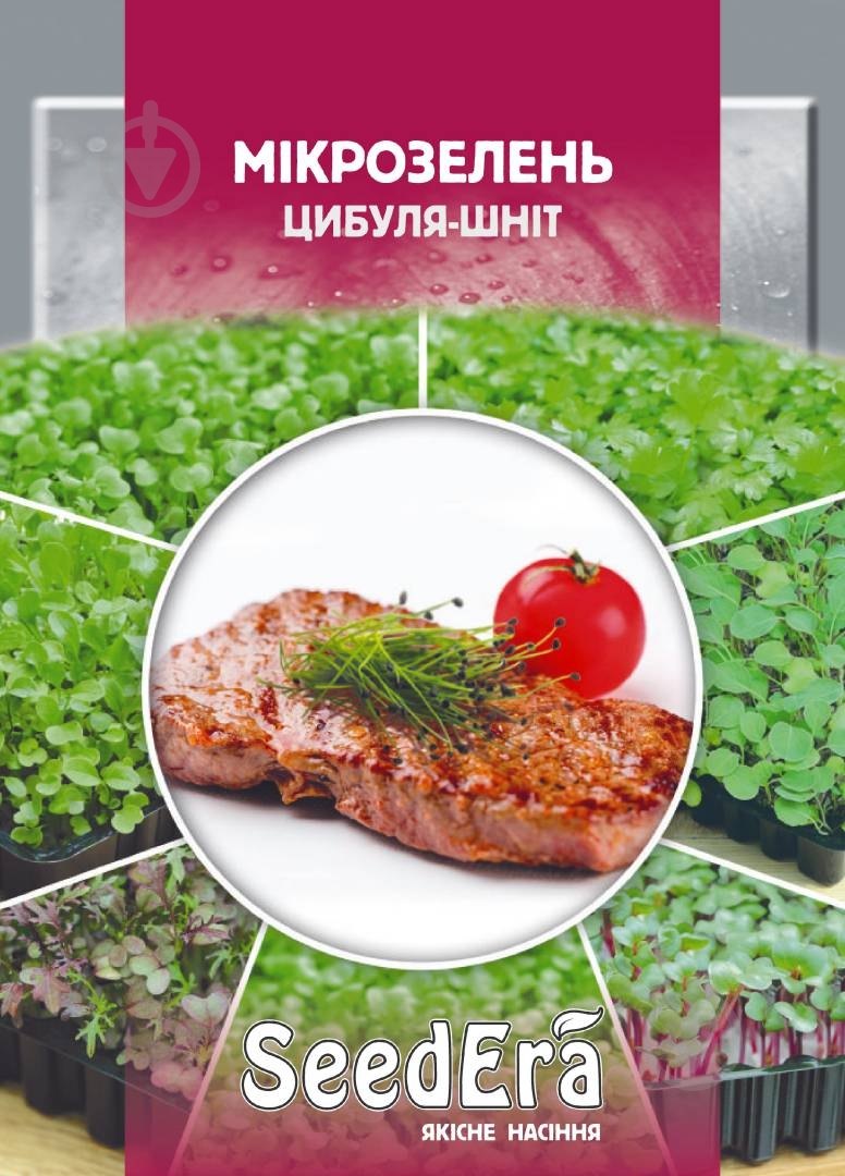 Семена микрозелень Лук-шнитт 10 г (4823073723098) - фото 1