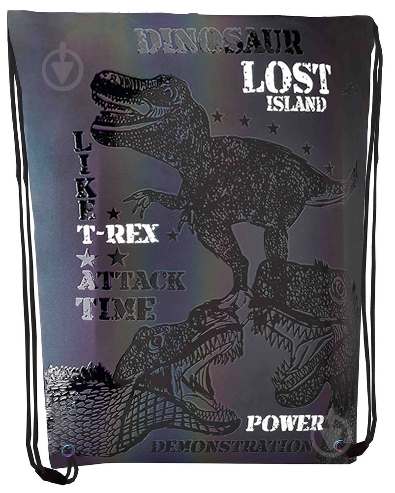 Сумка для обуви CLASS T-rex power 46x33 см 2239C - фото 1