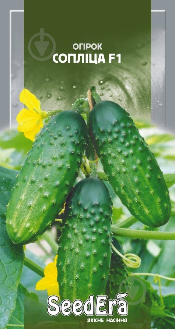 Насіння SeedEra огірок Сопліца F1 0,5 г (4823073723968) - фото 1