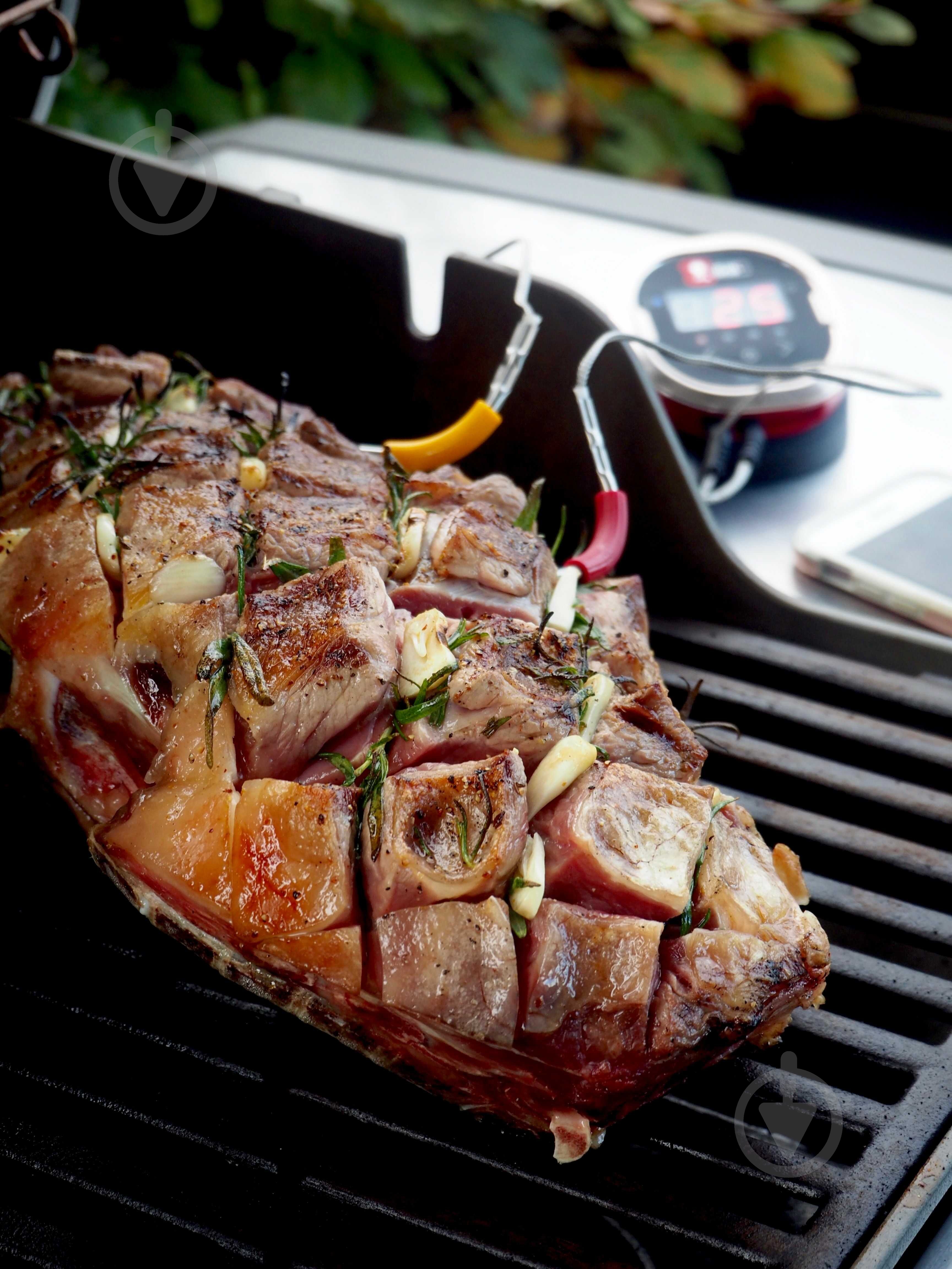 Термометр цифровой Weber iGrill 2 7221 - фото 3