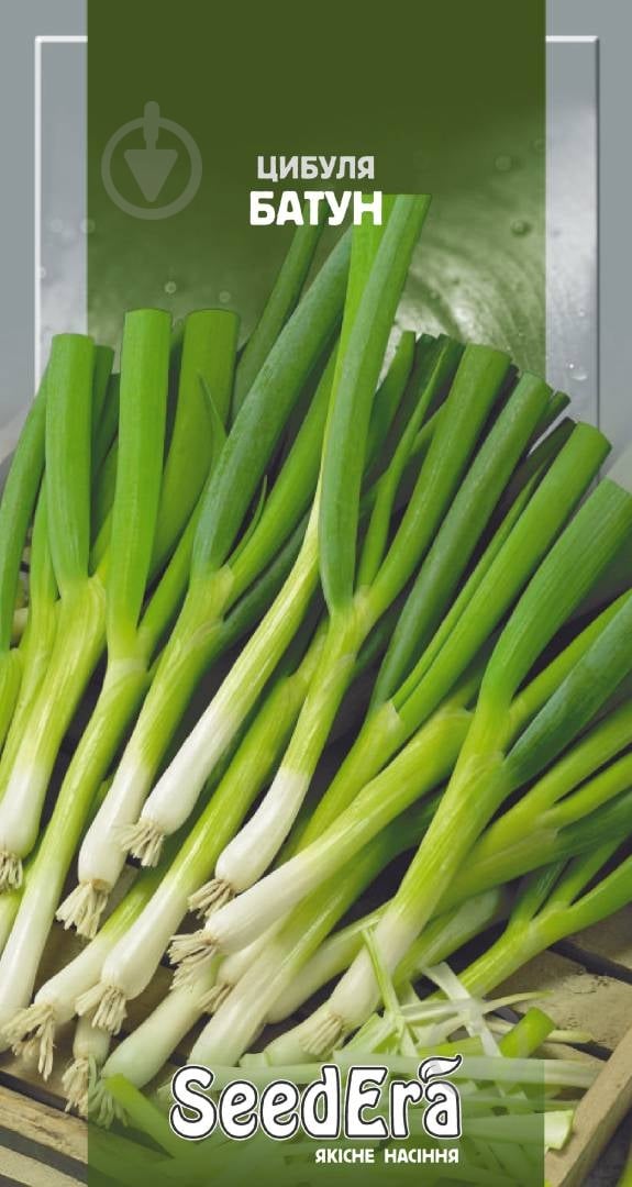 Семена SeedEra лук-батун 10 г (4823073721889) - фото 1