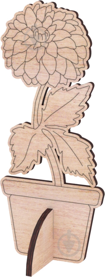 Раскраска Зірка Георгина - фото 1 Раскраска Зірка Георгина - фото 1