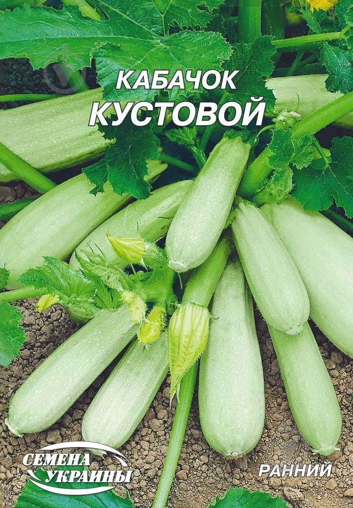 Семена кабачок Кустовой 20 г Насіння України - фото 1 Семена кабачок Кустовой 20 г Насіння України - фото 1