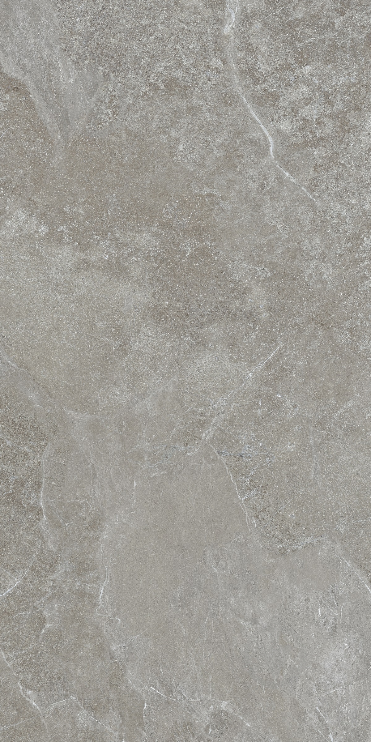 ᐉ Плитка Allore Group Mariya Grey F P R Mat 60x120 см • Краща ціна в ...