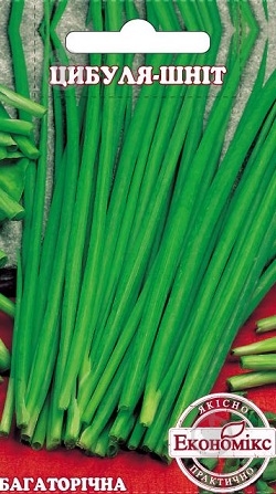 Семена лук-резанец 0,5 г Экономикс - фото 1
